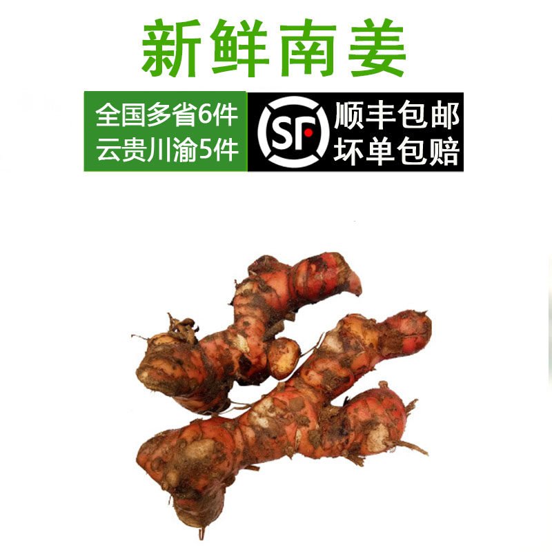 新鲜南姜 500g越南山姜 高良姜 小山姜 生姜 泰国冬阴功汤调味料