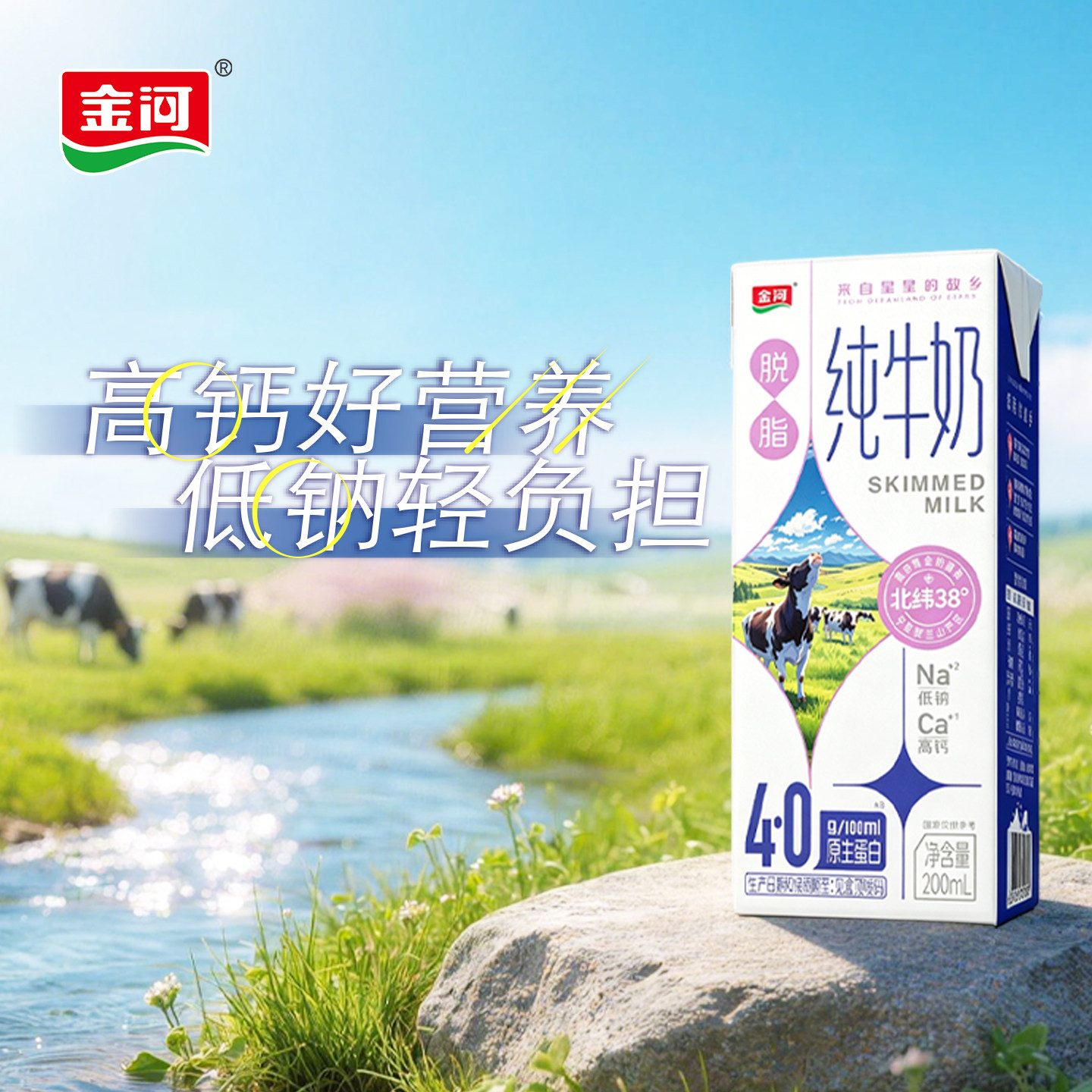 金河纯牛奶4.0g乳蛋白脱脂牛纯牛奶