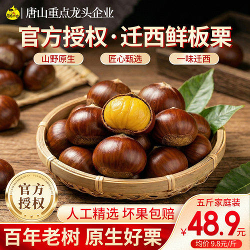 2025迁西鲜板栗生板栗