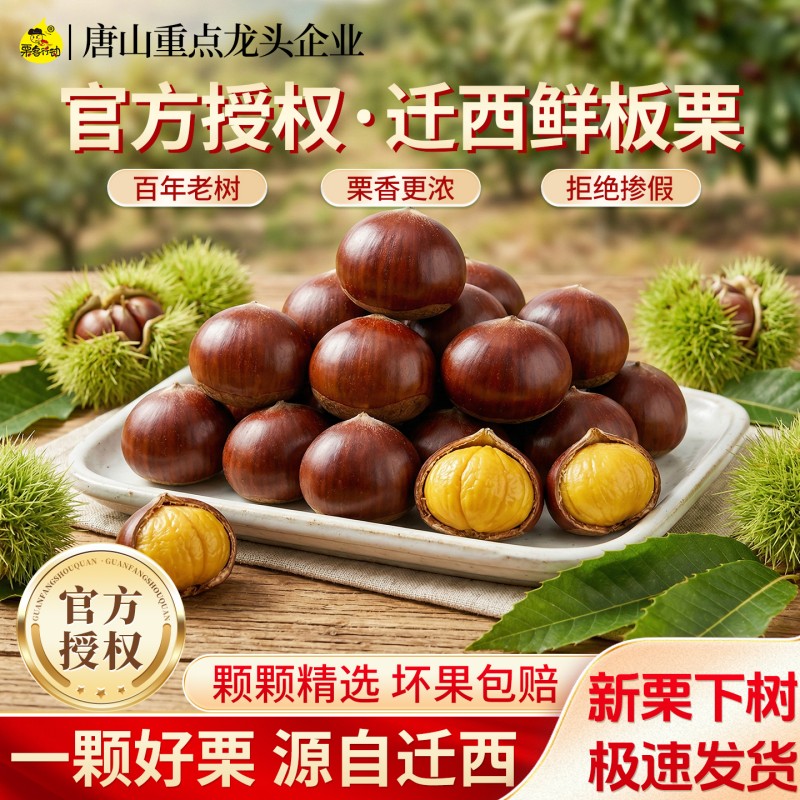 河北迁西新鲜板栗刚刚下树现摘
