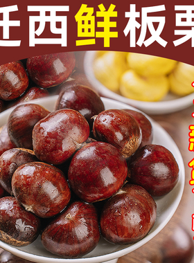2025迁西生板栗生新鲜燕山油栗野生毛栗子大中粒粟5斤产地直发