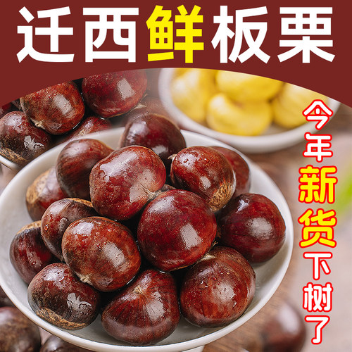 2025迁西鲜板栗生板栗