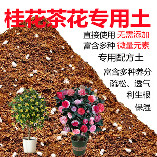 茶花专用土喜酸性营养壤植物盆栽种植红土椰糠泥炭有机花泥桂花土