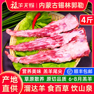 福羊天赐 羊肉新鲜羊尾巴尖羊尾骨新鲜羊蝎子 内蒙古羔羊尾尖