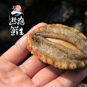 逃跑鲜生 大个鲍鱼鲜活冻九孔鲍野生鲜海鲜新鲜黄金速冻冷冻水产
