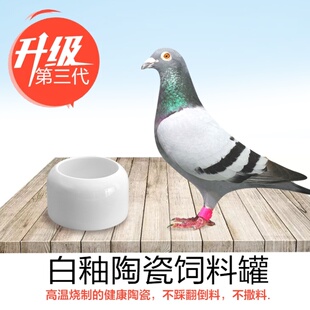 鸽子专用食槽料槽食盆鸽子陶瓷食槽小鸟食罐鸡饲料盒鸡吃食神器