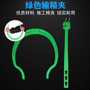 大号受精辅助人工辅助夹养猪场配种架带圈夹子母猪输精夹夹猪夹子