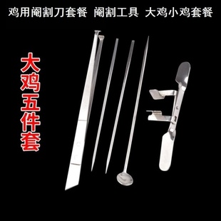 禽类阉割器刀小鸡使用阉鸡工具大鸡专业兽用手术工具全套畜牧器械
