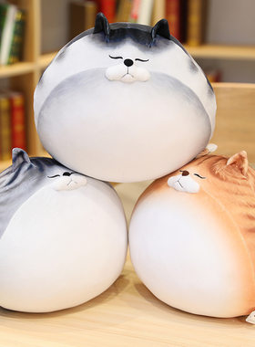 可爱蛋蛋猫公仔大号仿真猫咪抱枕情侣3D印花加菲猫毛绒玩具背影猫