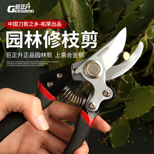 .10修枝剪sk5钢园艺剪刀花卉果枝省力剪刀园林果剪花草外贸修枝剪