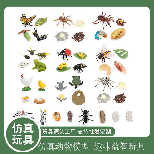.具儿童仿真动物模型昆虫蝴蝶蜜蜂成长周期模型玩具植物生长过程