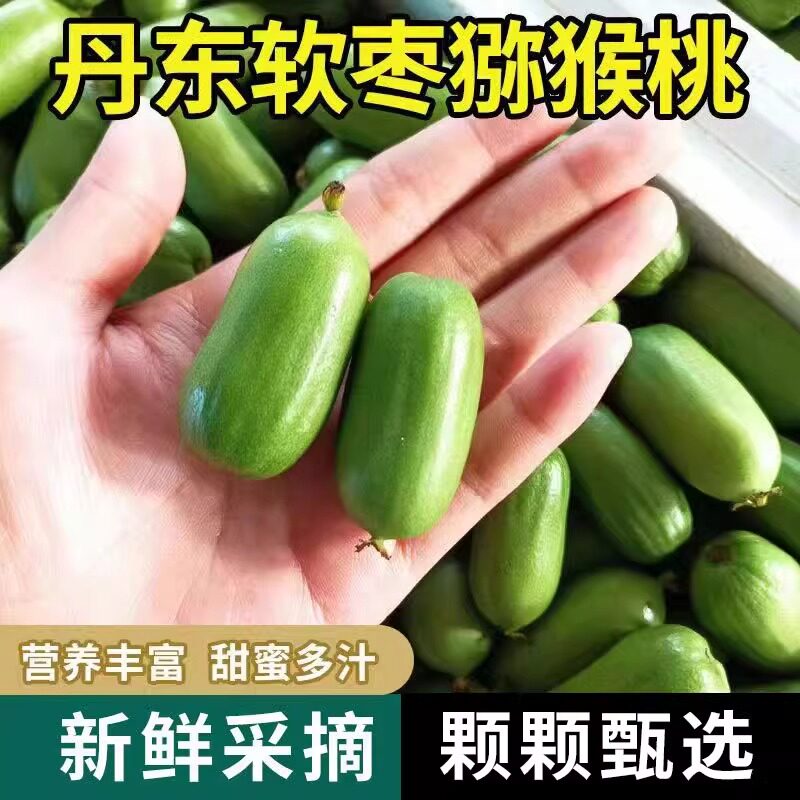 丹东新鲜软枣猕猴桃东北特产圆枣奇异果/猕猴桃
