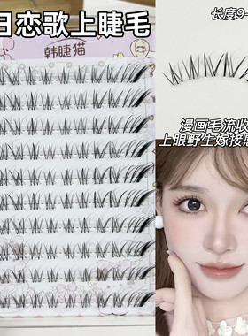 新款冬日恋歌狐系斜飞假睫毛女