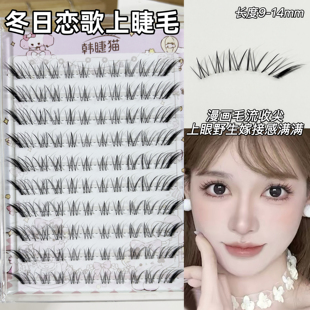 新款冬日恋歌狐系斜飞假睫毛女自然仿真根根分明上镜单簇新手免胶