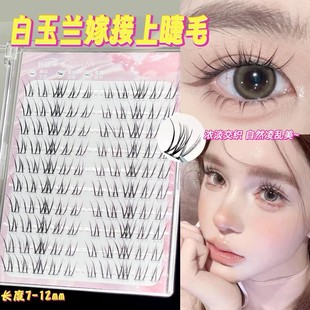 上镜显氛围！白玉兰漫画假睫毛不规则空气感分段单簇新手免胶淡妆