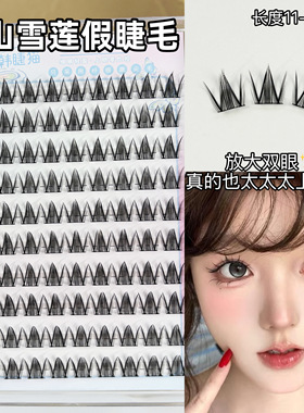 天山雪莲假睫毛漫画芭比眼W型