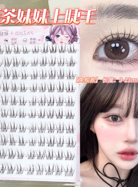 单眼皮本命睫！酥茶妹妹假睫毛