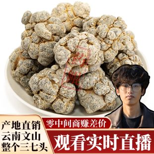 云南文山正品 春三七无剪口12头20头田七头37片正宗非野生药材直播