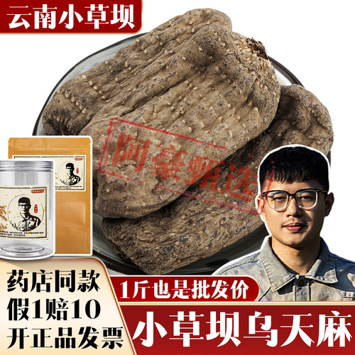 批发野外云南小草坝乌天麻黑天麻