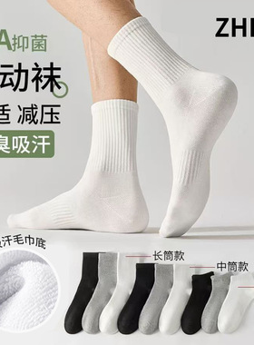 诸暨袜子男士秋冬加厚毛巾底纯棉中筒袜防臭吸汗白色长筒运动袜男
