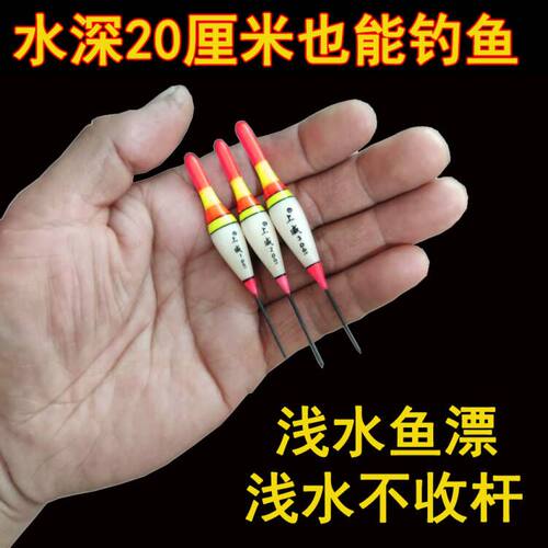 超短加粗冬钓草洞白条小鱼水皮漂