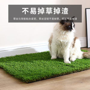 人造草坪宠物厕所垫人工地毯垫假草皮阳台仿真装饰狗狗猫咪大小便