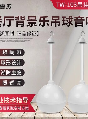 HIVI惠威TW103吊球音响吊装壁挂喇叭10W功率消防广播店铺餐厅音箱