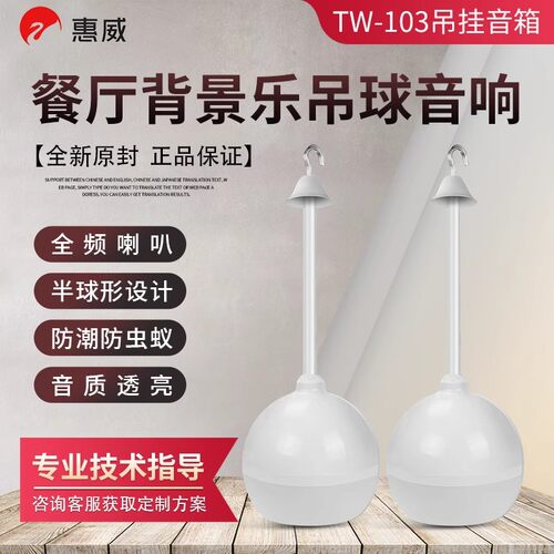 惠威tw103公共广播吊球吊挂音响