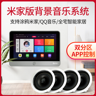 惠威 背景音乐吸顶喇叭套装 VX5 智能AI语音中控系统嵌入式 Hivi