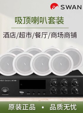 Hivi/惠威 TD202门店家用公共广播吸顶喇叭天花吊顶音箱功放套装