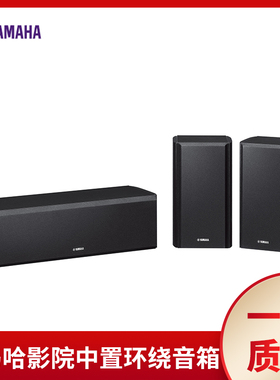 Yamaha/雅马哈 NS-160家庭影院环绕中置音箱二分频音箱家用音响