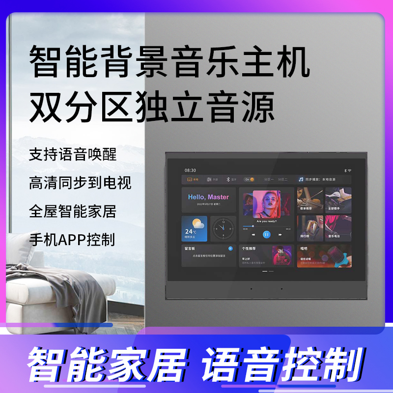 智能背景音乐主机双分区