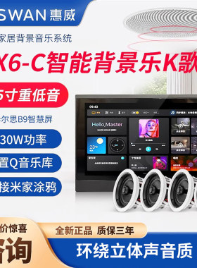 惠威智能背景音乐吸顶喇叭套装