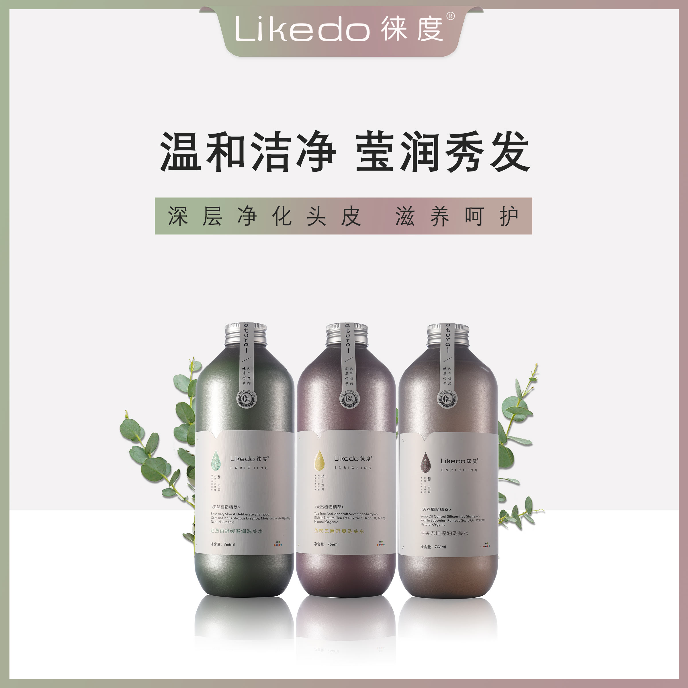 徕度植物控油滋润烫染修护洗发水