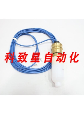 工业配件SEAMETRICS IP81B 水轮流量传感器 52V-DC
