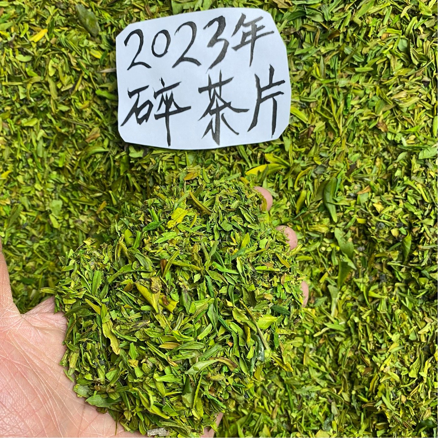 碎茶叶白茶黄金芽茶2023新茶春茶明前茶末茶碎一斤500g茶片碎片茶
