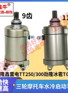 三轮摩托车马达适用隆鑫雷电TT250/300冰雹TG260水冷电机9/11齿