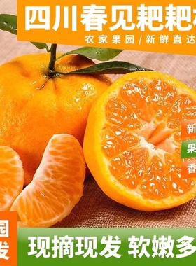 正宗四川浦江特级春见粑粑柑当季丑桔子耙耙柑孕妇水果10斤包邮橘
