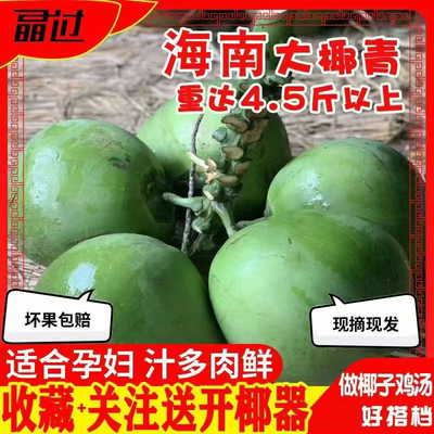 海南椰子椰青10个带皮椰子文昌二