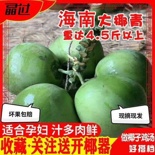 海南椰子椰青10个带皮椰子文昌二