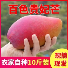 助农广西百色田东现摘特级大贵妃芒果新鲜水果10斤包邮大果红甜心