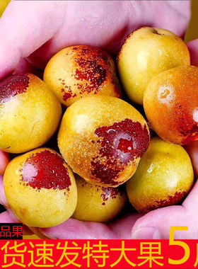 山西新鲜冬枣5斤包邮脆甜特大果