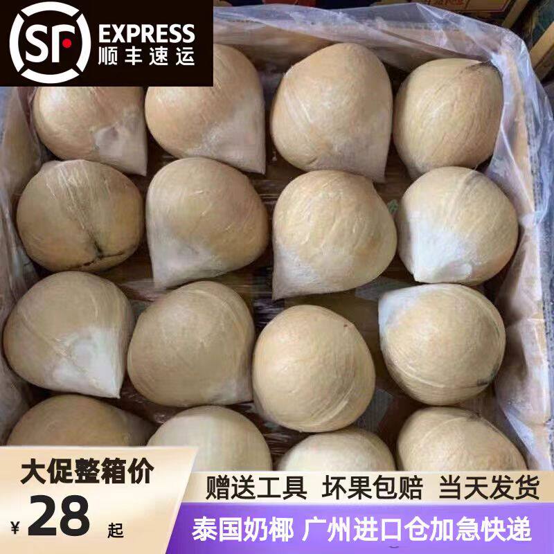泰国进口牛奶椰皇小奶椰香椰椰子蛋新鲜当季孕妇补羊水9个2椰子冻