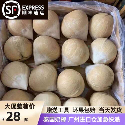 泰国进口新鲜椰皇新鲜补羊水当季