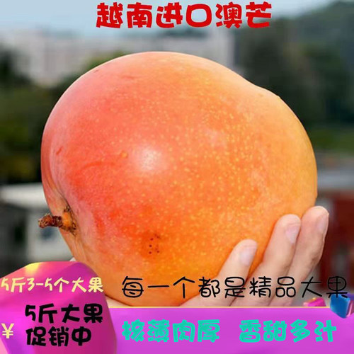 黄金澳芒当季10斤整箱新鲜水果甜