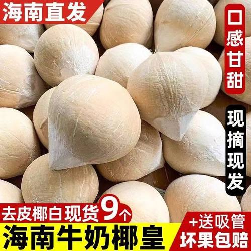 正宗海南牛奶椰皇特级9个装去皮