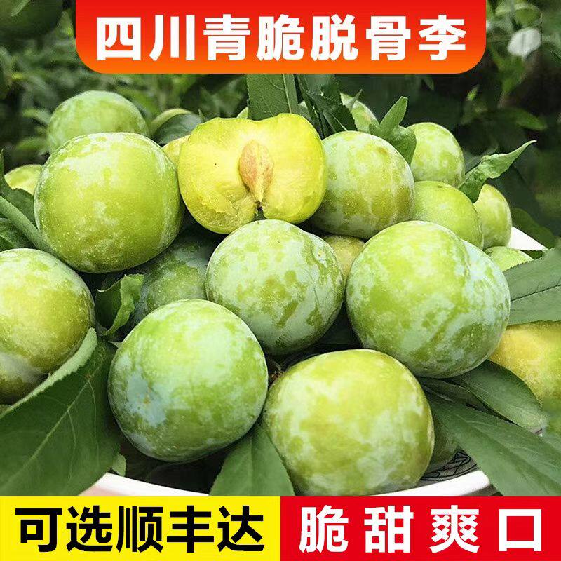 现摘正宗四川清脆脱骨李子当季新鲜水果酸甜爽口5斤包邮大果顺丰