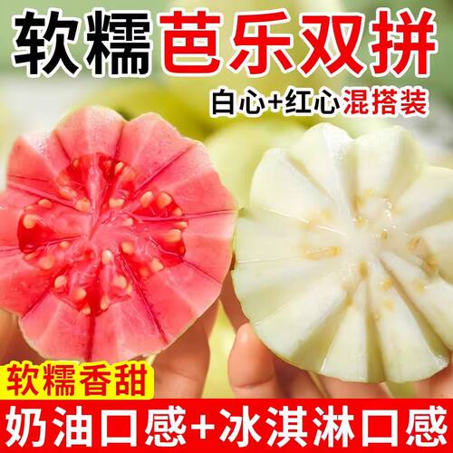 双拼红白心芭乐5斤软糯香番石榴