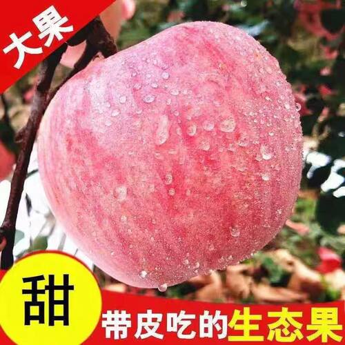 爆甜多汁洛川苹果冰糖心红富士大