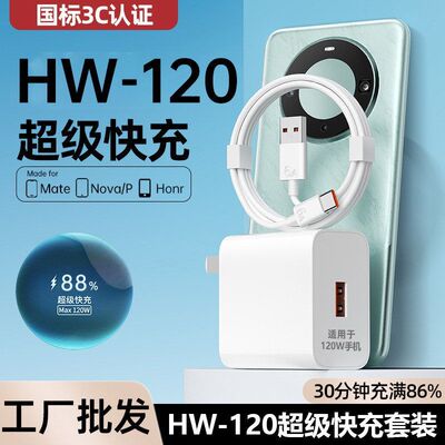 适用平板无线新款120W快充充电器充电头手机100WMax66W3C认证闪充